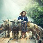 Klimaat en landbouw in China