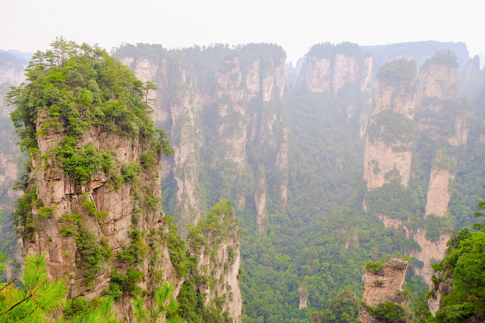 De Zhangjiajie bergen